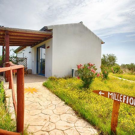 Agriturismo Mieleamaro Βίλα Όλμπια Εξωτερικό φωτογραφία