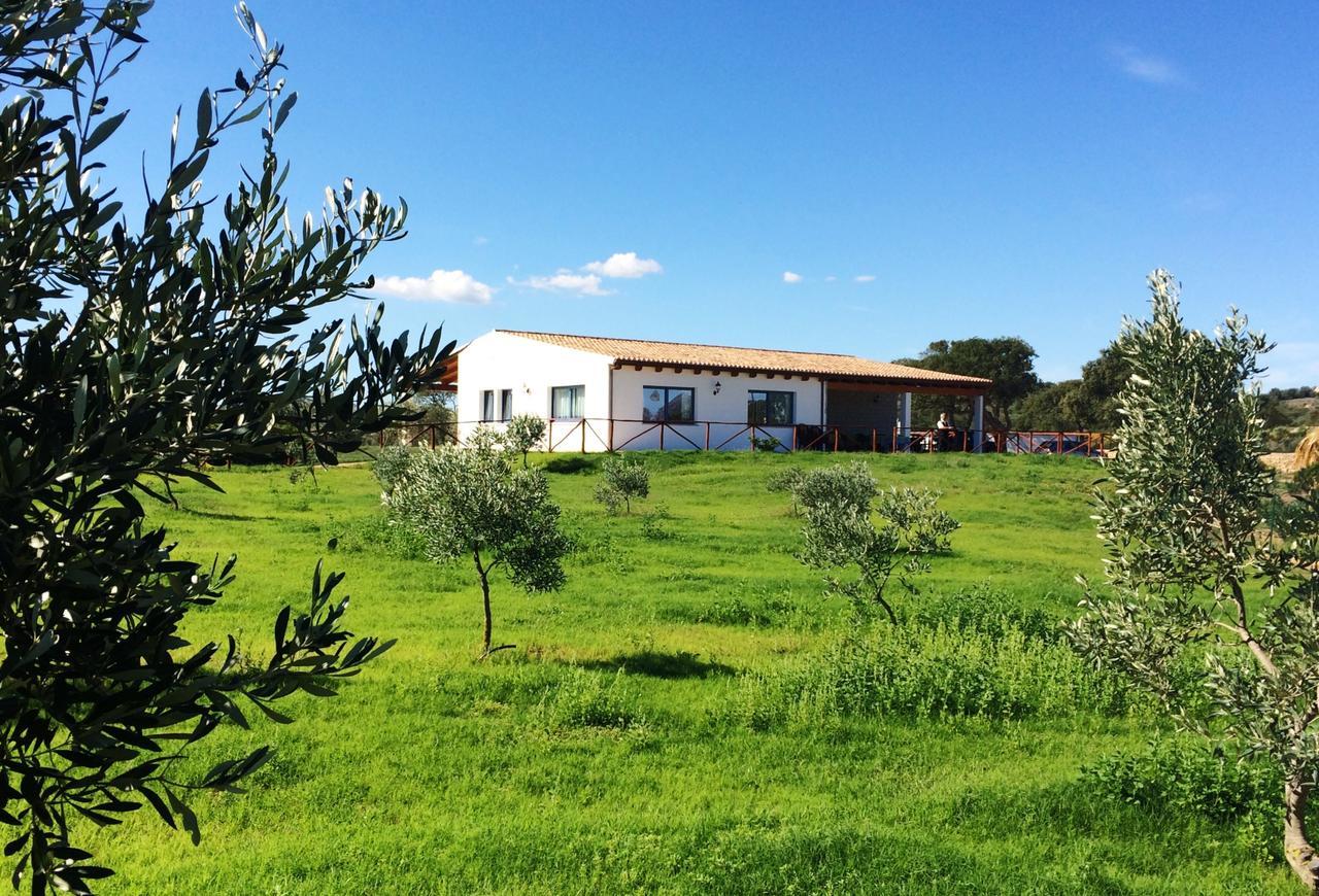 Agriturismo Mieleamaro Βίλα Όλμπια Εξωτερικό φωτογραφία