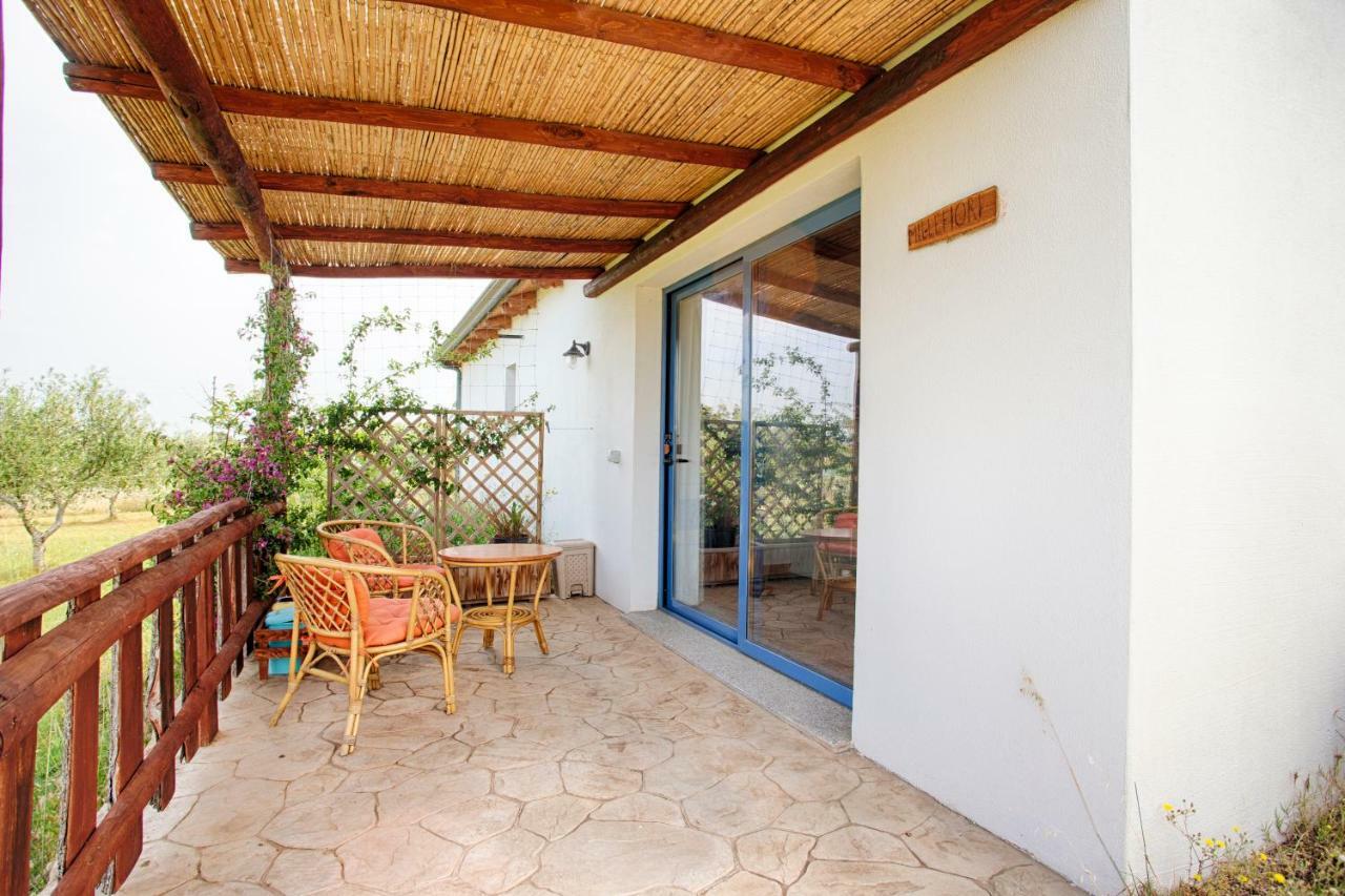 Agriturismo Mieleamaro Βίλα Όλμπια Εξωτερικό φωτογραφία