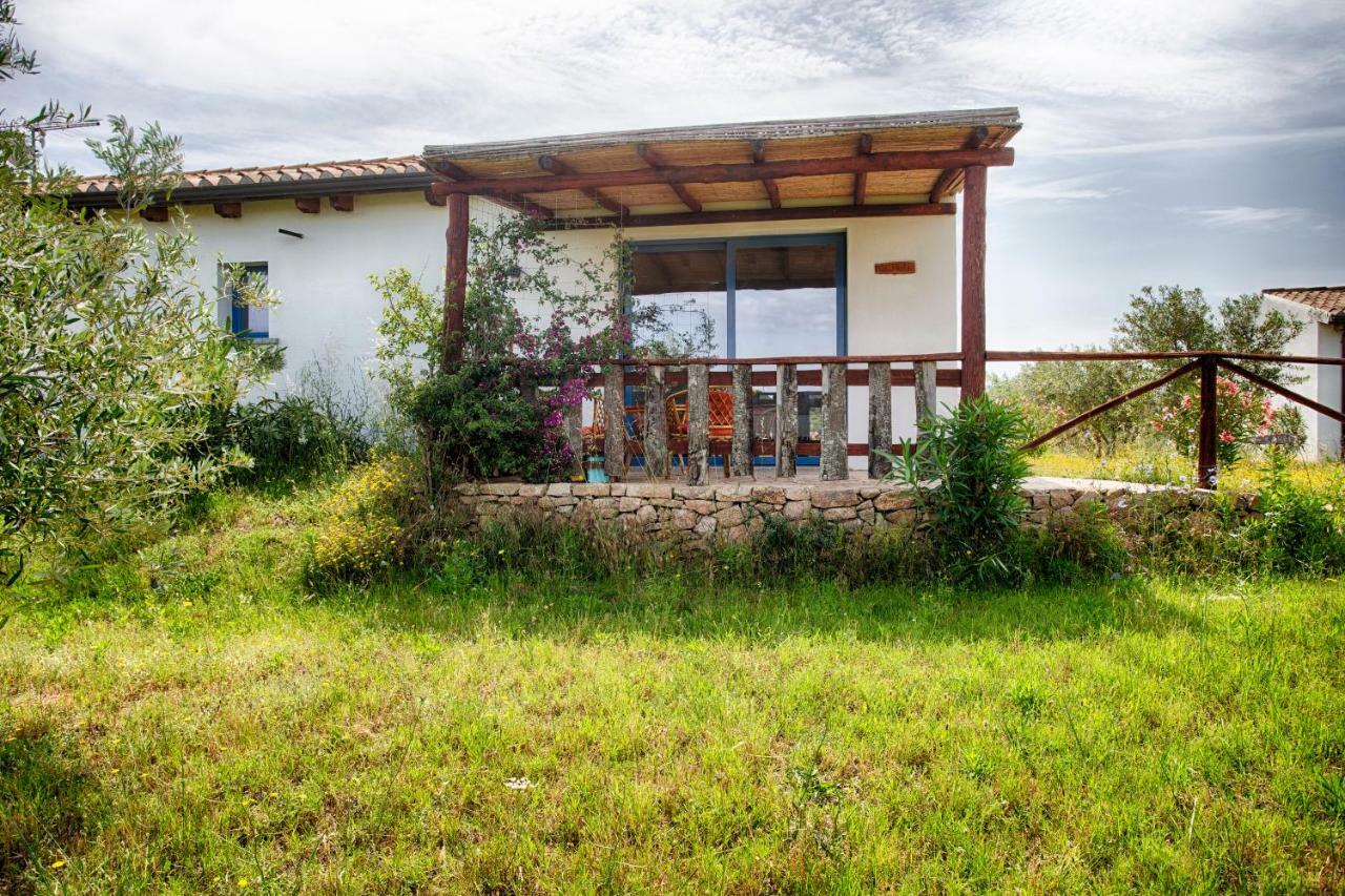Agriturismo Mieleamaro Βίλα Όλμπια Εξωτερικό φωτογραφία