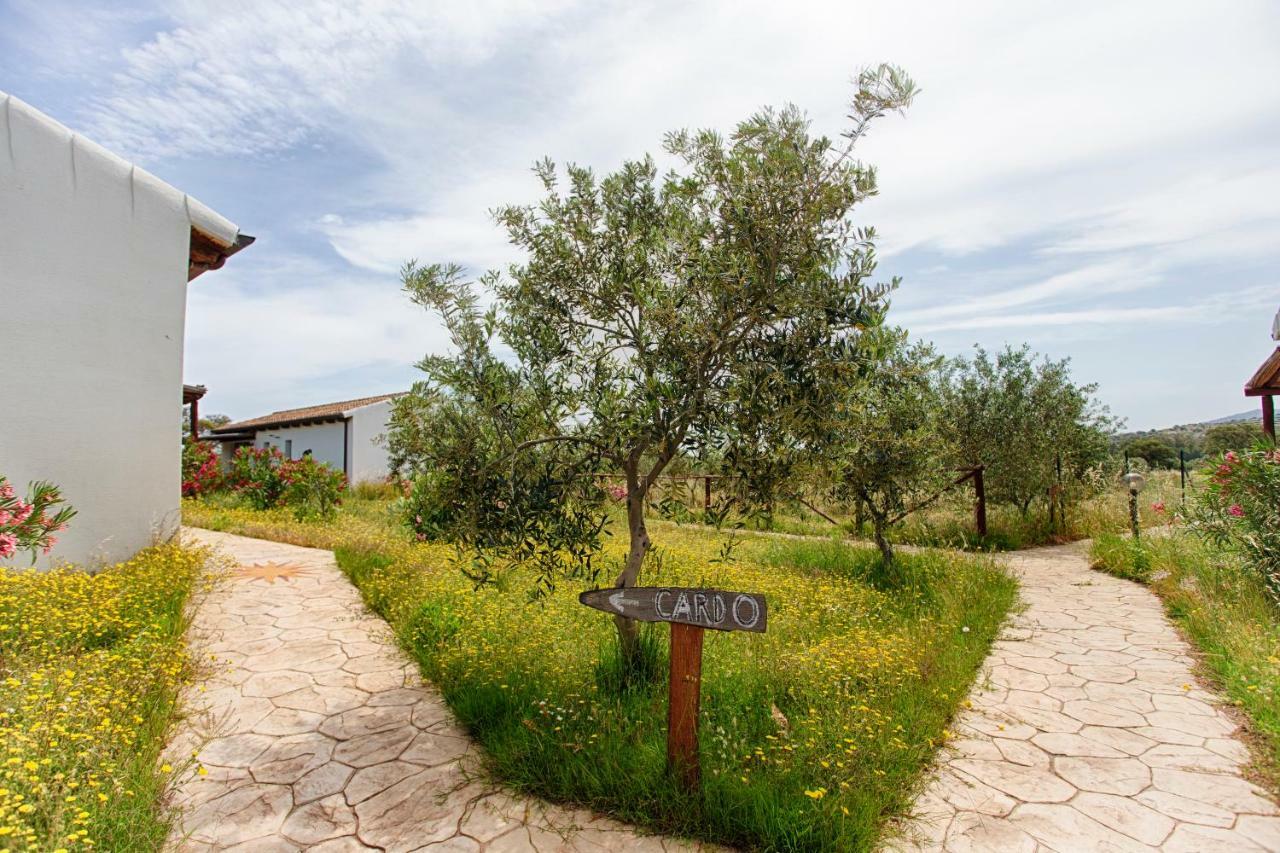 Agriturismo Mieleamaro Βίλα Όλμπια Εξωτερικό φωτογραφία